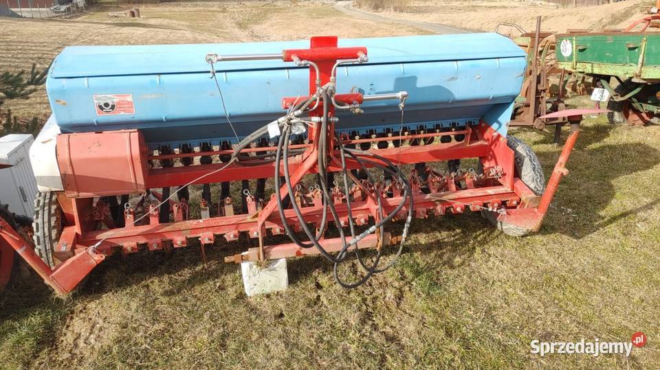 Siewnik Isaria małopolskie Rabka-Zdrój