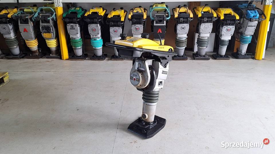 Skoczek Stopa WACKER NEUSON BS 502 Plus 11in Trzebnica sprzedam