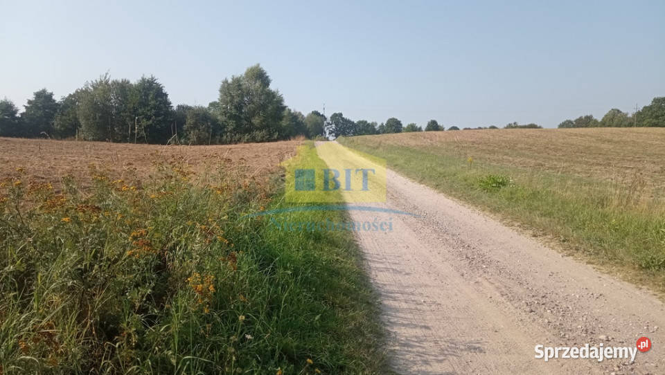 Działka siedliskowa z naturalnym stawem Zagozd