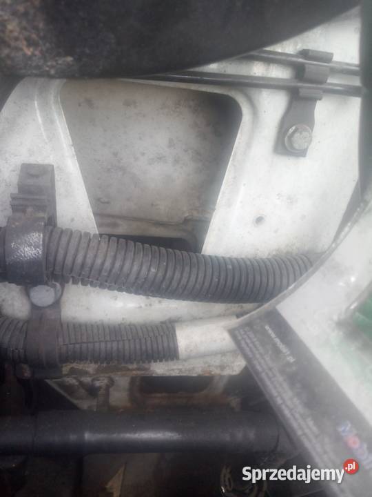 Iveco Daily skrzynia Mrągowo