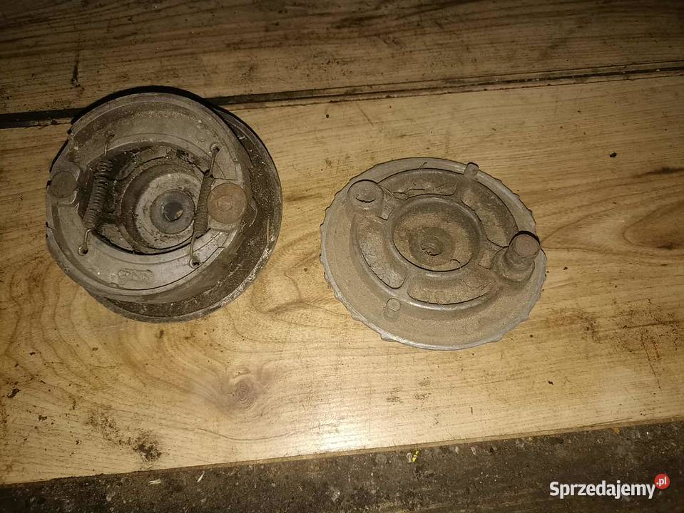 Szczekotrzymacza rys żak Moczkowo sprzedam