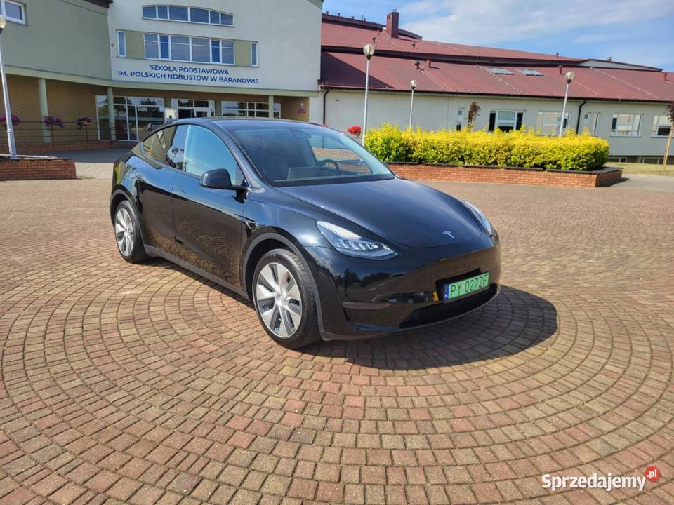 Tesla Y Long Ramge Dual Motor AWD PPF HAK wielkopolskie Poznań