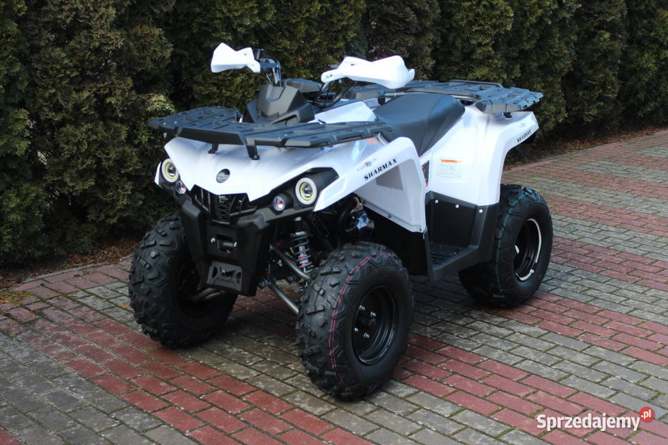 Quad 200 SHARMAX cc 4t Hammer Shinerau Bashan 200cm3 Goleniów
