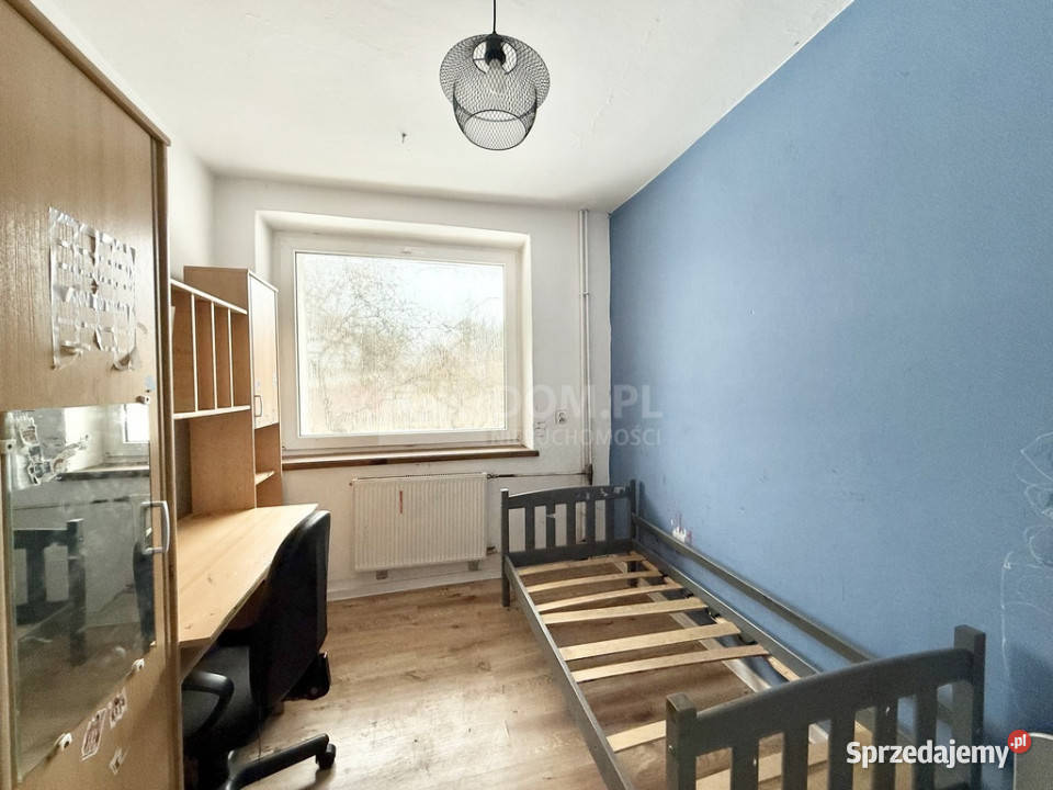 Dom z dużą działką Bławatków gm Piekoszów asfalt Lesica