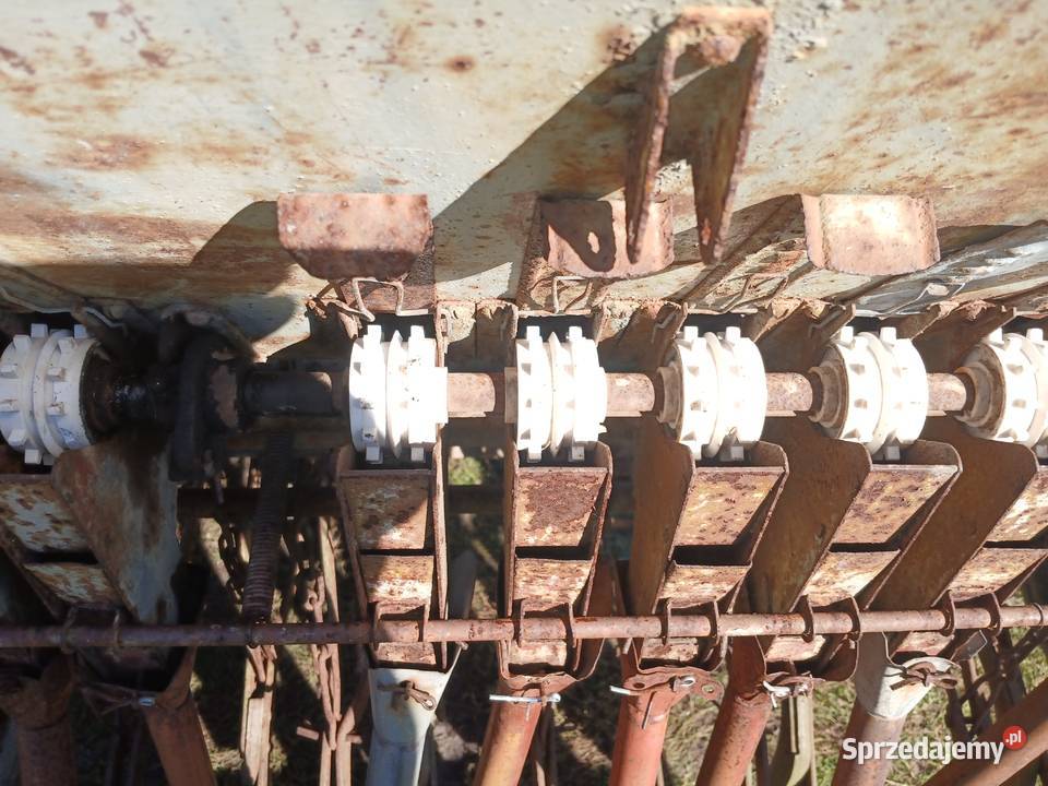 Siewnik poznaniak 27 m świętokrzyskie Górki k. Brodów