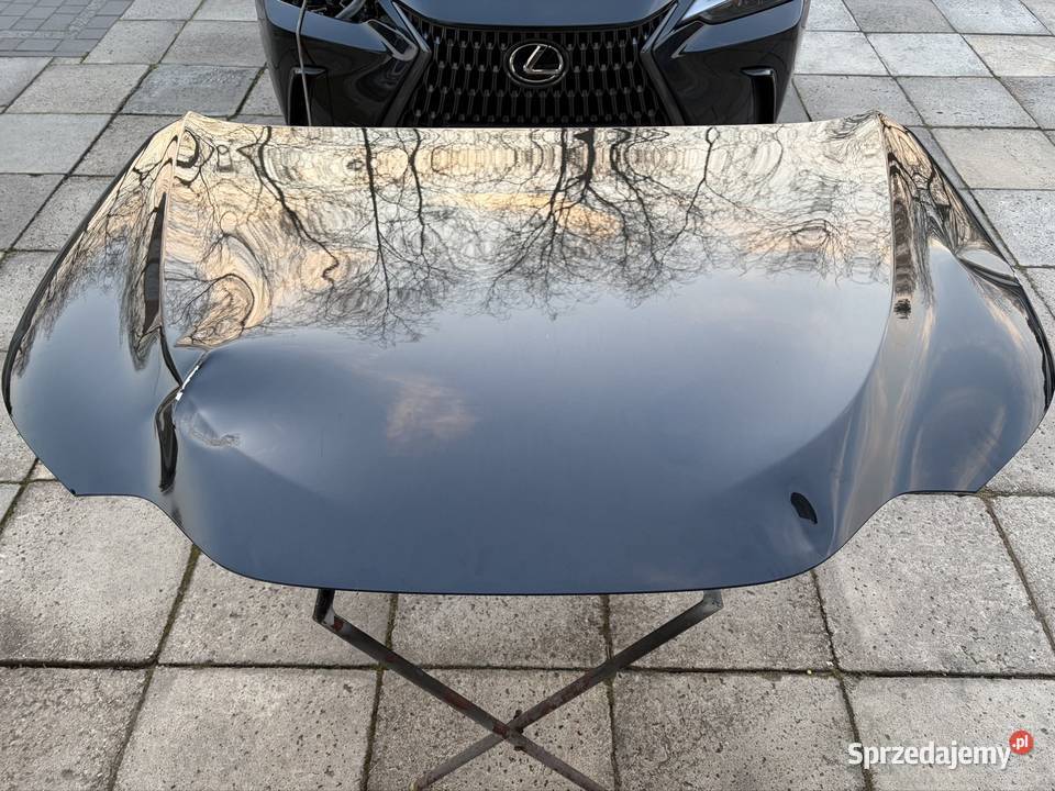 Lexus NX II 20212025 osobowe łódzkie Bełchatów