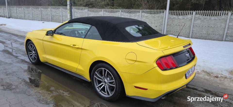 Ford Mustang VI 23 ecoboost centralny zamek Mrozy