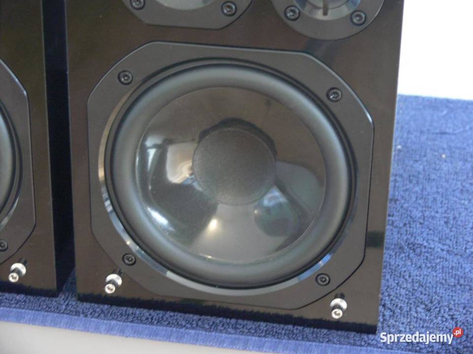 Monitory Panasonic SBPMX9 sprawne WYSYŁKA Jasło sprzedam