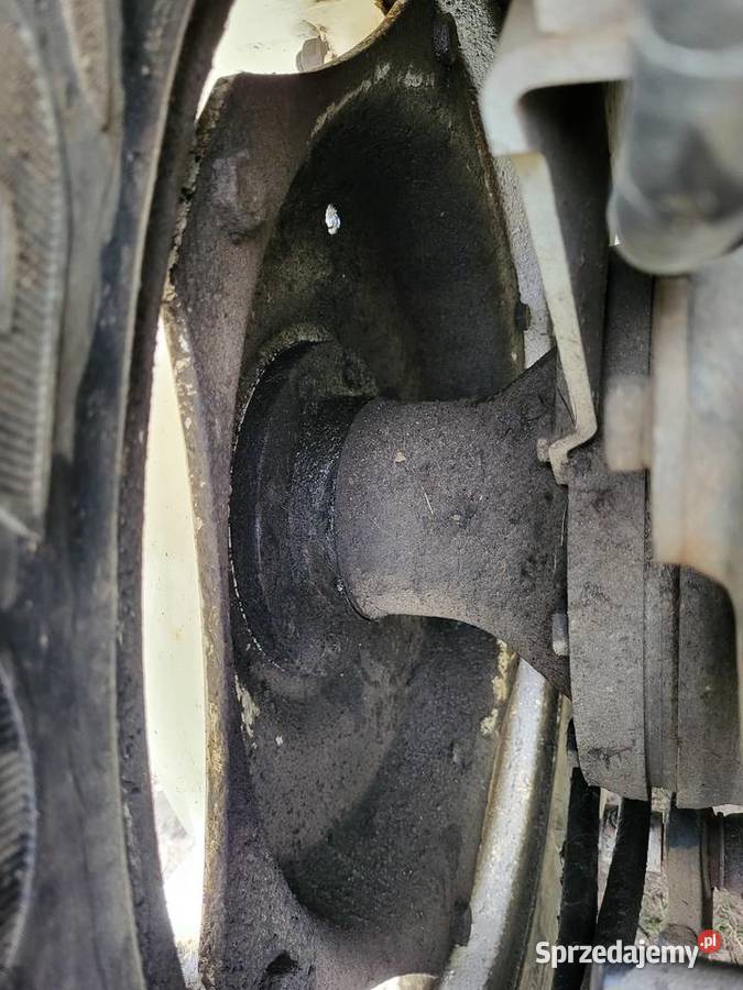 Holland sadownik Dąbrowica