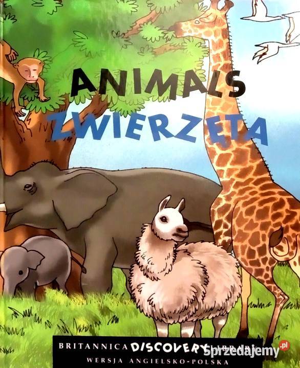 417 Discovery Animals Zwierzęta P 14 Warka