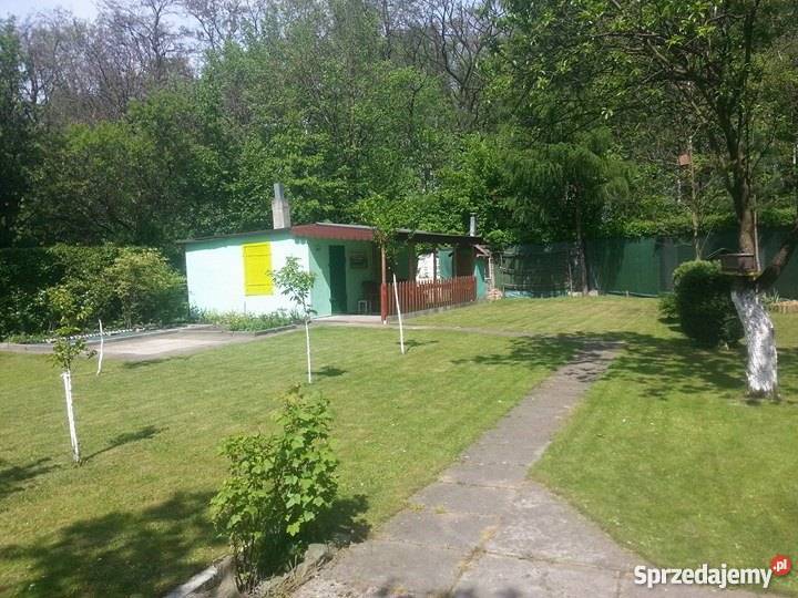 Sprzedam działke rekreacyjną w ROD DALIA Gliwice