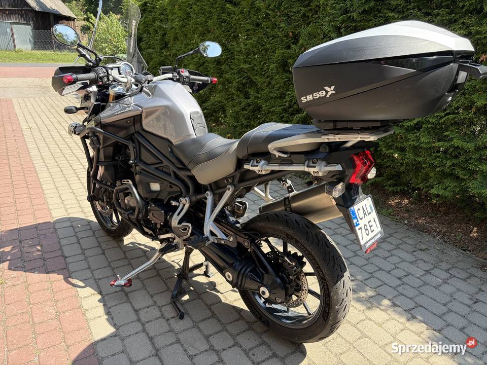 Triumph Tiger 1200 Wołuszewo