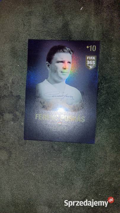 Autograf Ferenc pusks 20152016 Pozostałe