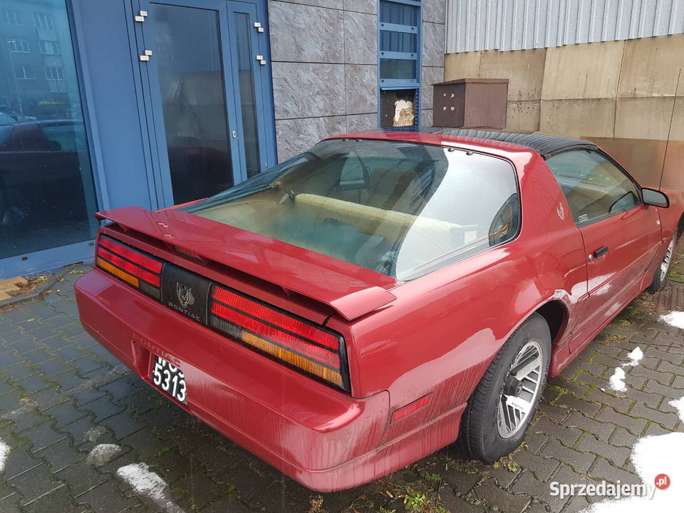 Syndyk sprzeda samochód marki Pontiac Firebird nieuszkodzony