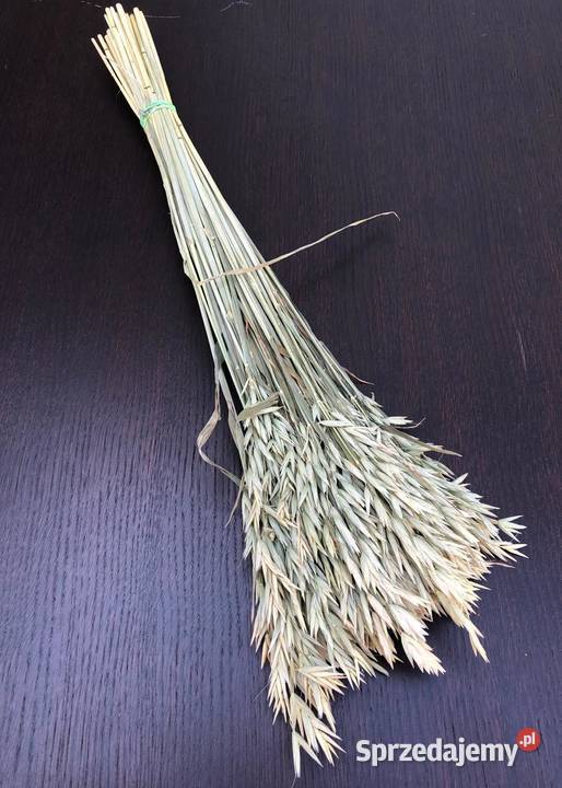 Naturalna LNICA zasuszona w pęczki zbóż Kompozycje kwiatowe Lublin