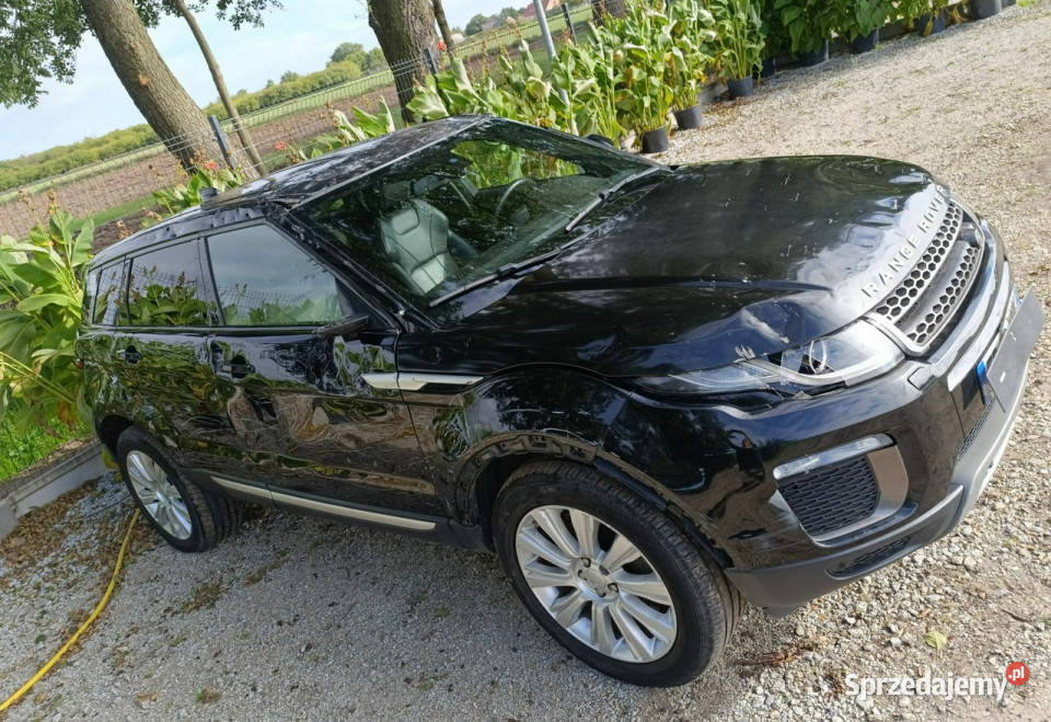 Land Rover Range Rover Evoque Evoque I 20112018 czarny Pleszew sprzedam