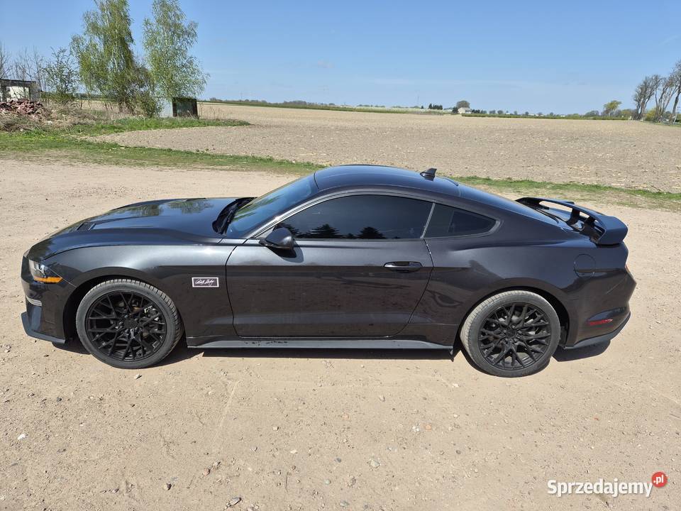 Ford mustang elektrochrom. lusterka boczne sprzedam