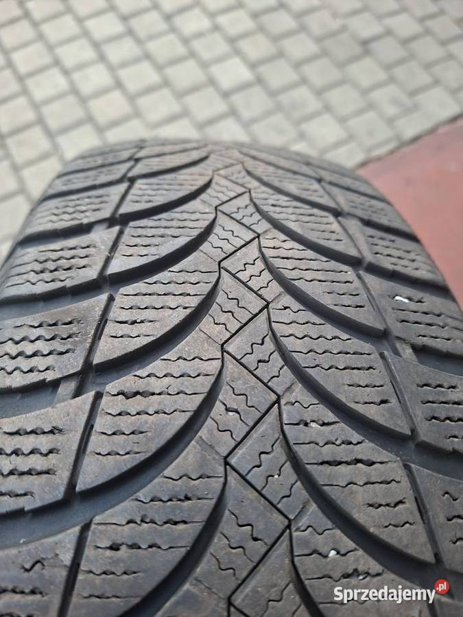 opony 1956515 r NEXEM WINGUM bieżnik ok 65 mm śląskie