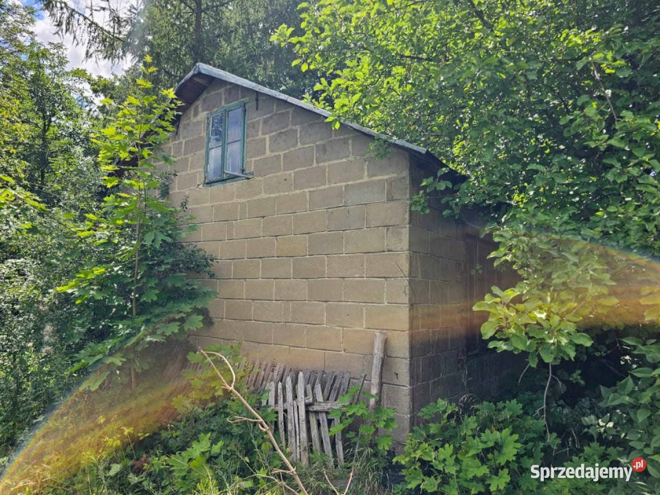 sprzedaży działki Dąbrowa Widawska 2500m2