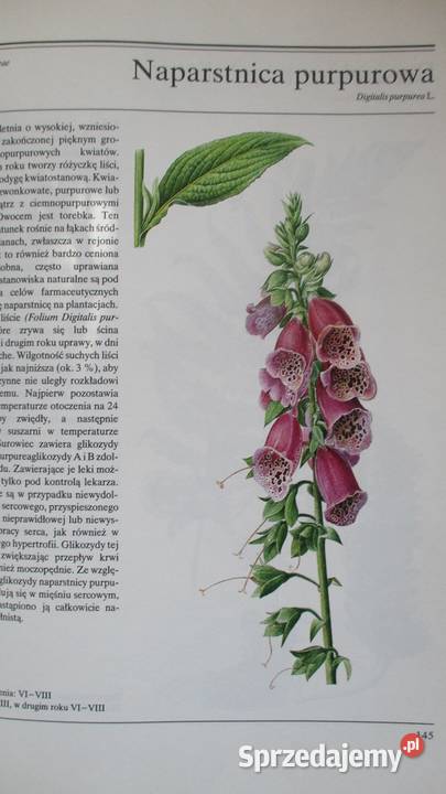 Rośliny lecznicze Volak Stodola rośliny zioła Książki naukowe i popularnonaukowe Łódź