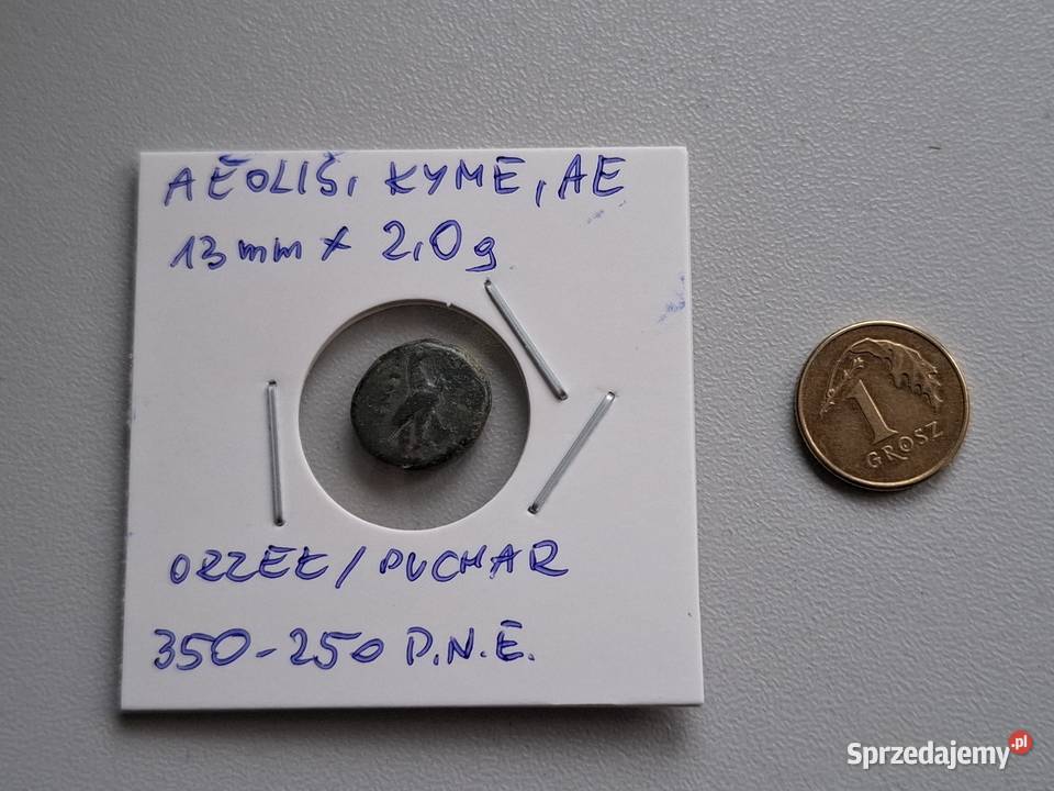 Moneta antyczna Grecja Aeolis Kyme 350250 BC pomorskie Wejherowo