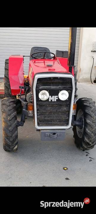Massey Ferguson 247 sadowniczy wspomaganie Massey Ferguson Olszowa Wola
