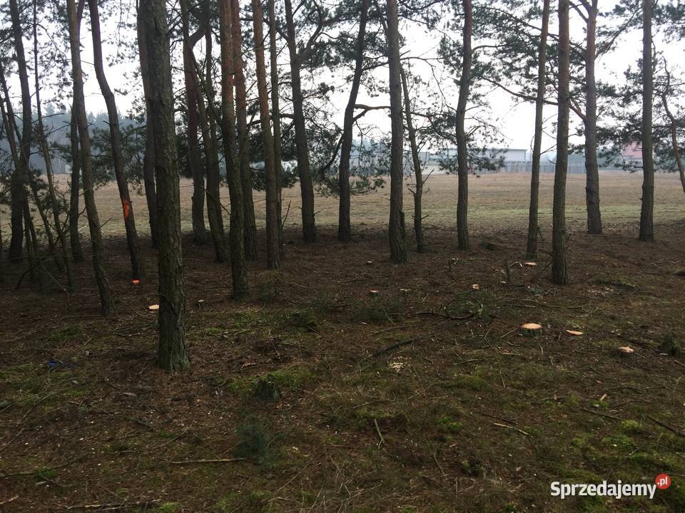 Zielonka 7300m2 sprzedam