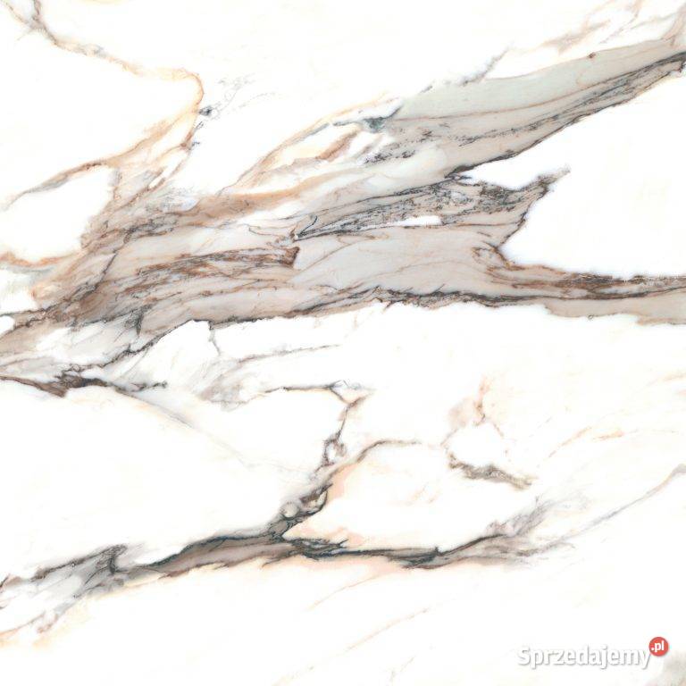 Gres Cerrad calacatta Gold Poler 120x120 Zakopane