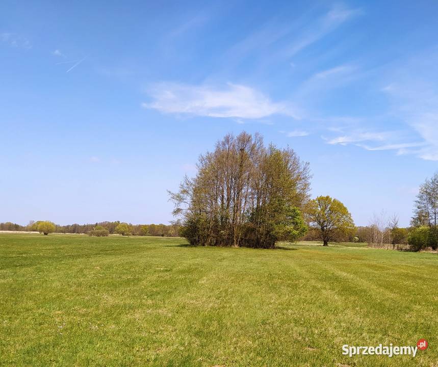 Działka rolna łąka Radolina gm Golina wielkopolskie Konin
