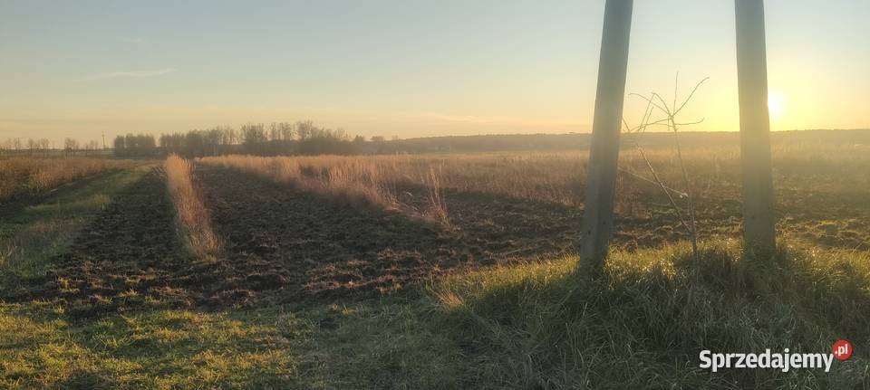 MPZP Niwki ladna drodze asfaltowej Sprzedaż Zwoleń