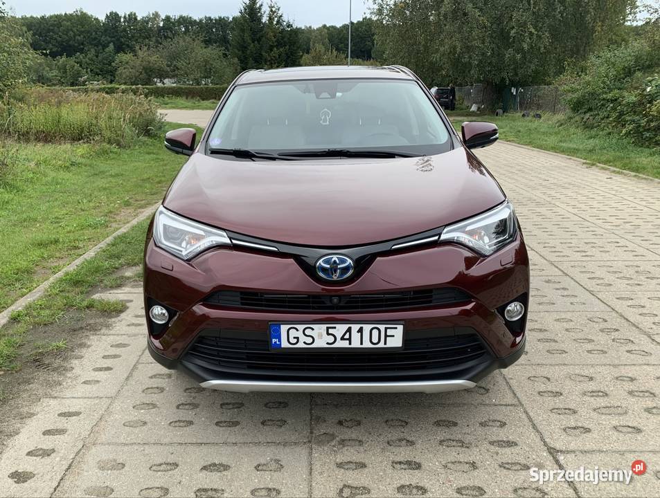 Toyota RAV4 25 Hybrid 2017 lakier metallic pomorskie Słupsk