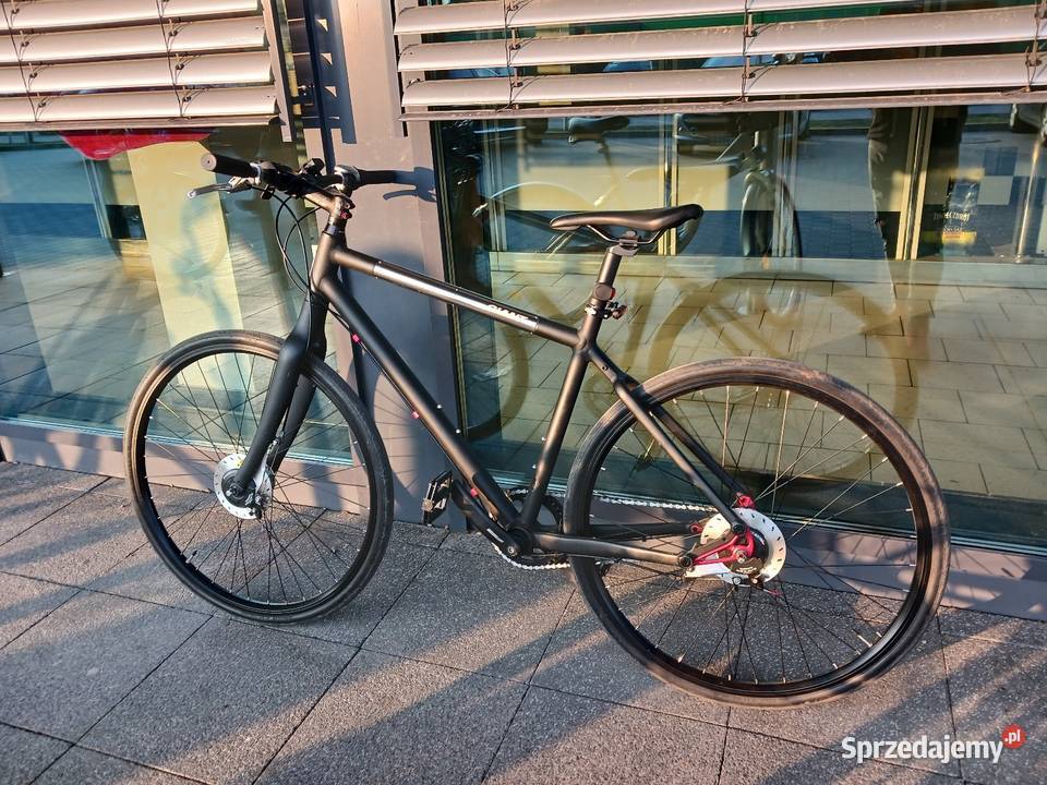 Giant lubelskie Puławy