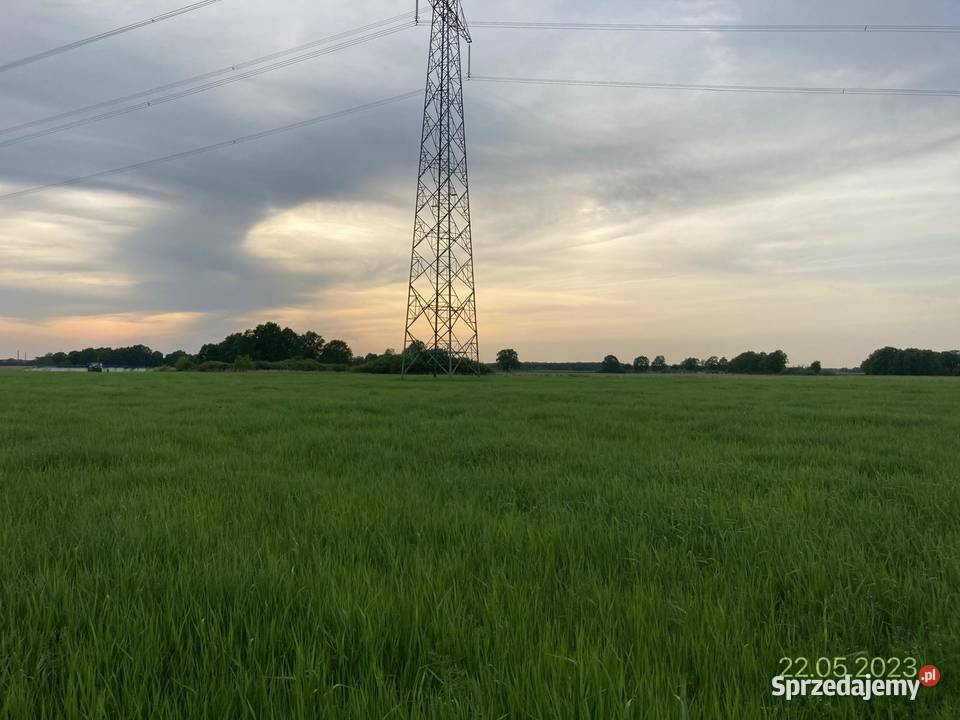 Działka rolna w m BrodnogmŚroda Śląska Sprzedaż dolnośląskie Brodno sprzedam