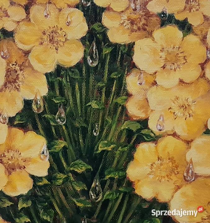 Obraz olejny Kaczeńce Katowice sprzedam