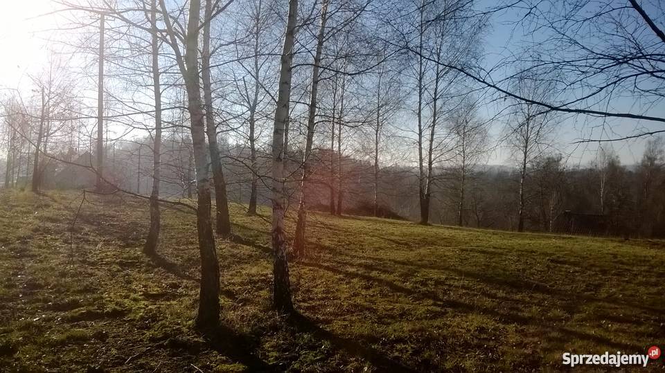 Sprzedam Piękną Działke woda Nowy Wiśnicz