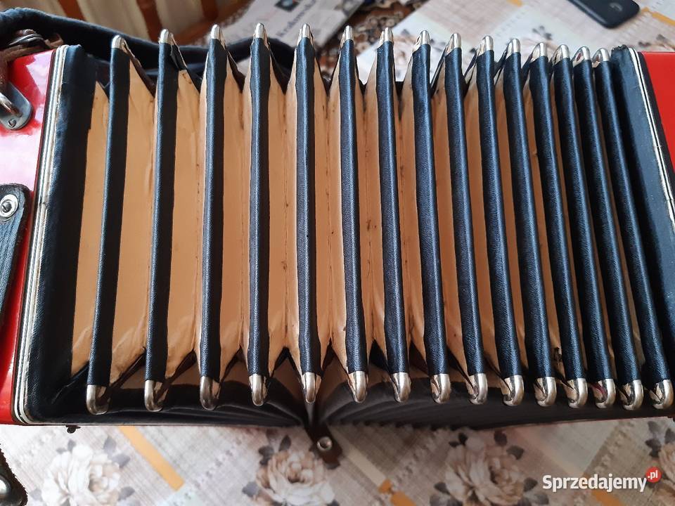 Akordeon 32 bas Konina