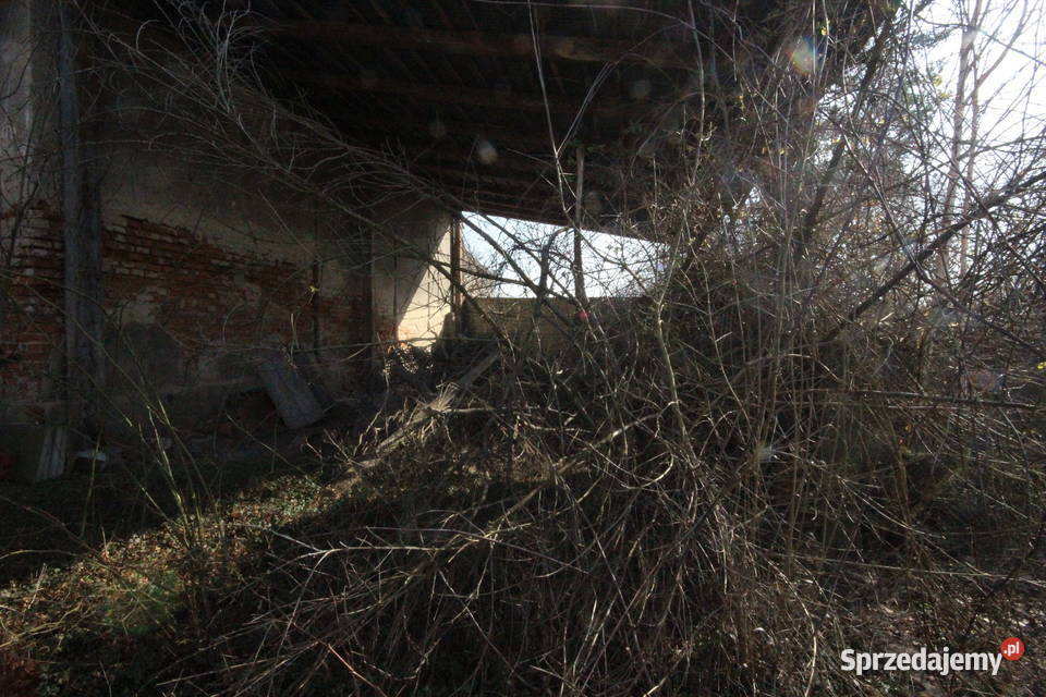 5pok 200met Jenkowice STODOŁAOGRÓDGARAŻ