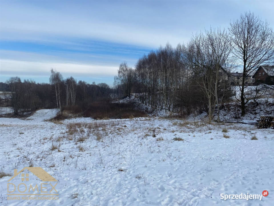 Grunt 8000m2 Wodzisław Śląski śląskie