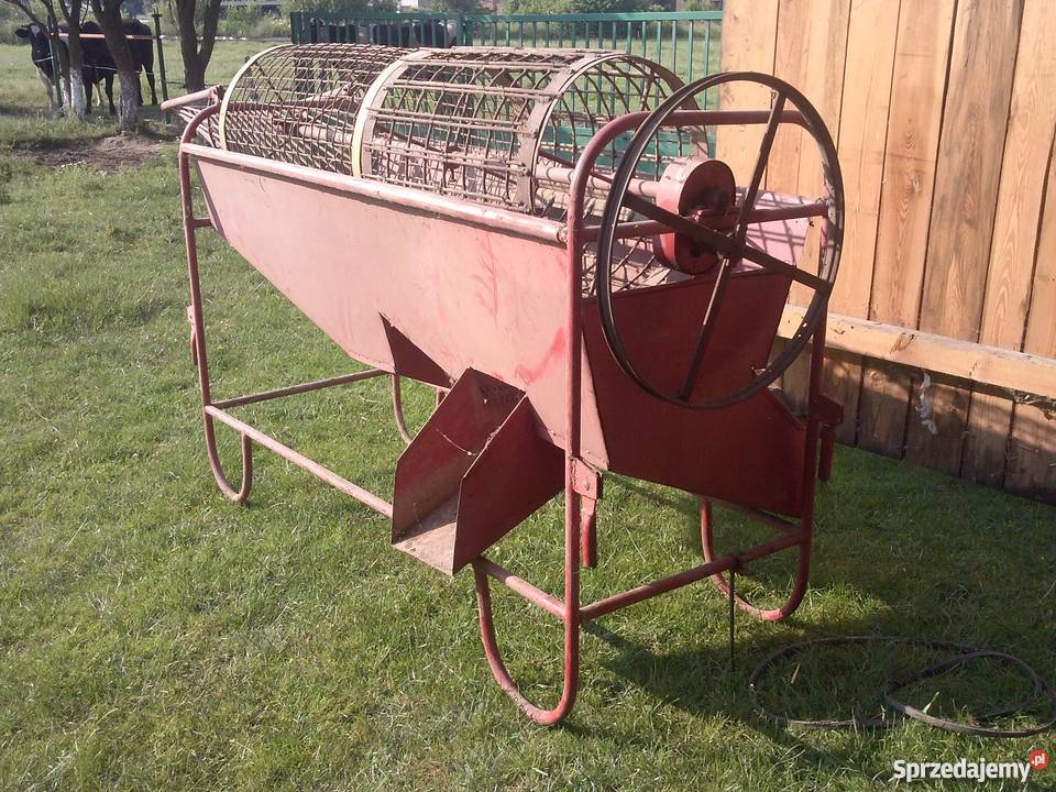 Sortownik do ziemniaków Gorzów Śląski