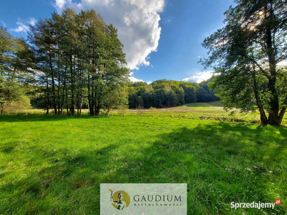 Enklawa pośród pól 1ha piękna i ciszy Kobysewo