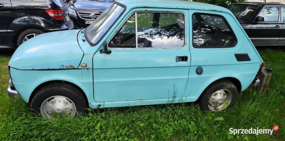 126p turchese farfalla 463 650cm3 Bieliny