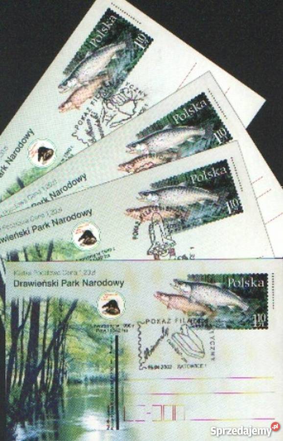 Kart Cp 1274 4 kas 2002 Filatelistyka Gliwice