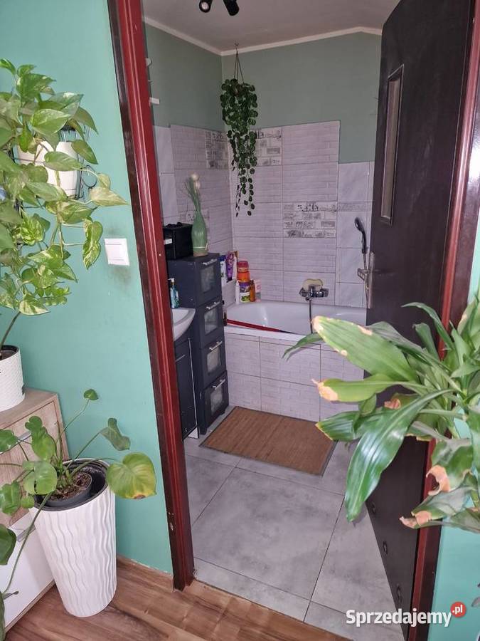 Syndyk sprzeda nieruchomość Kłodzko