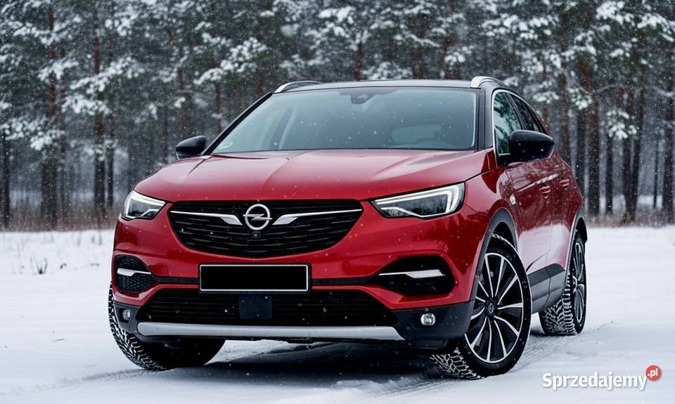 Opel Grandland X Ultimate Lift 4x4 300 Plugin garażowany Bochnia
