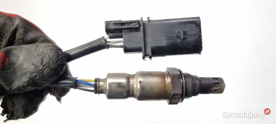 SONDA VOLKSWAGEN PASSAT B8 04L906262A osobowe Lipno