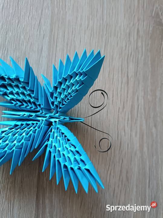 Motyl Origami Modułowe 3D pomorskie Kwidzyn