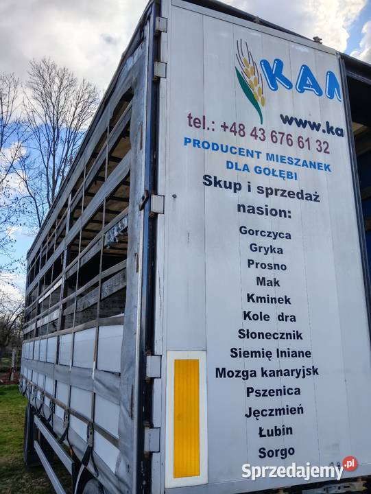 Drzwi do naczepy Krone standard Krone Burtowe i plandeki Liwki Szlacheckie sprzedam