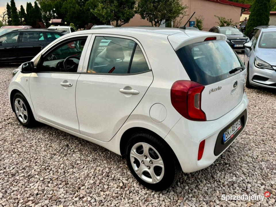 Kia Picanto Kia Picanto Super Stan Nowy Model Picanto Szerominek