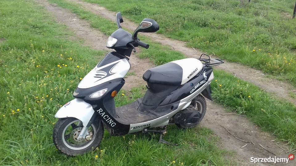 Kingway coliber rex mazowieckie sprzedam