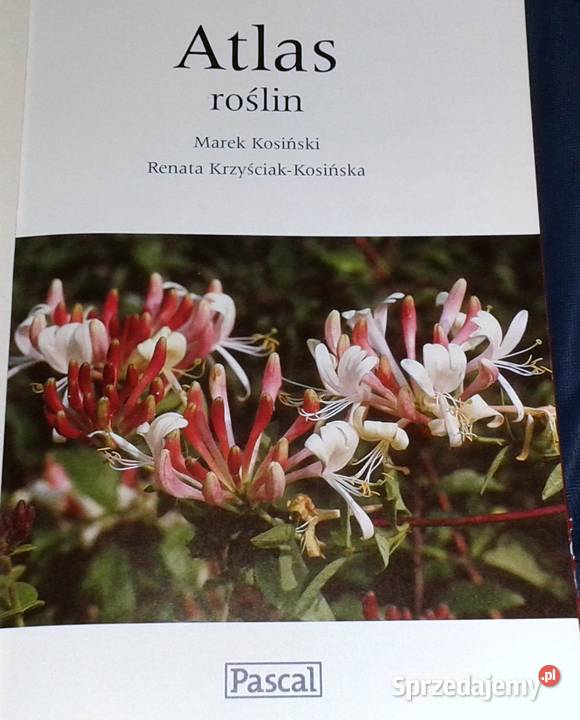 Atlas roślin Pascal Renata KrzyściakKosińska M Chełm